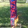 acesta este post steaua proasta