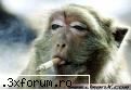 pt fumatori :D - Waaaaazzzzuppppp - Poze
